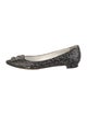 Manolo Blahnik Leather Printed Ballet Flats