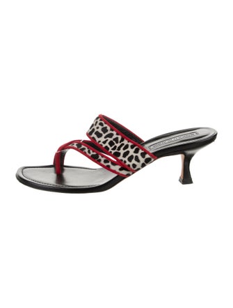 Manolo Blahnik Ponyhair Printed Slides