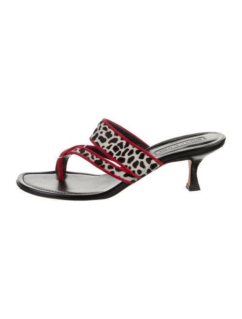 Manolo Blahnik Ponyhair Printed Slides