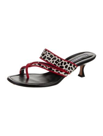 Manolo Blahnik Ponyhair Printed Slides