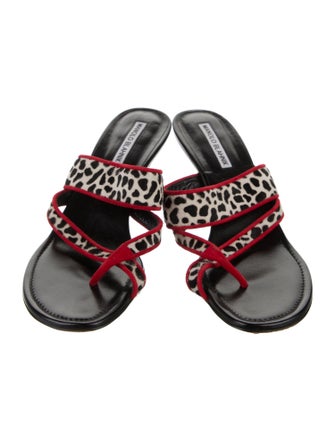 Manolo Blahnik Ponyhair Printed Slides