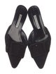 Manolo Blahnik Suede Mules