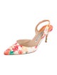 Manolo Blahnik Canvas Floral Print Slingback Pumps