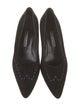 Manolo Blahnik Suede Pumps