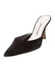 Manolo Blahnik Suede Mules