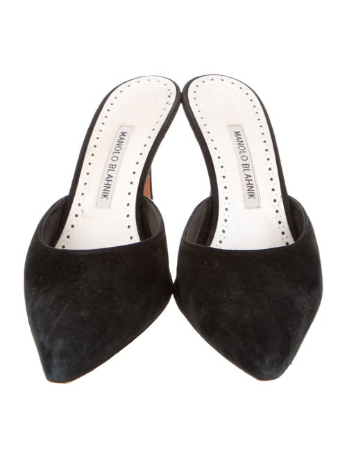 Manolo Blahnik Suede Mules