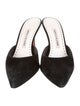Manolo Blahnik Suede Mules