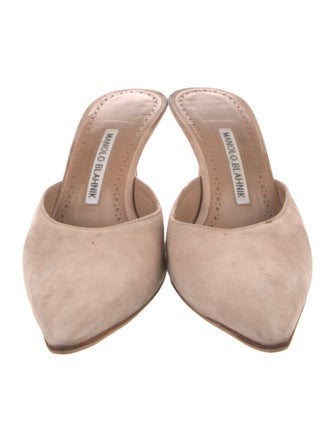 Manolo Blahnik Suede Mules