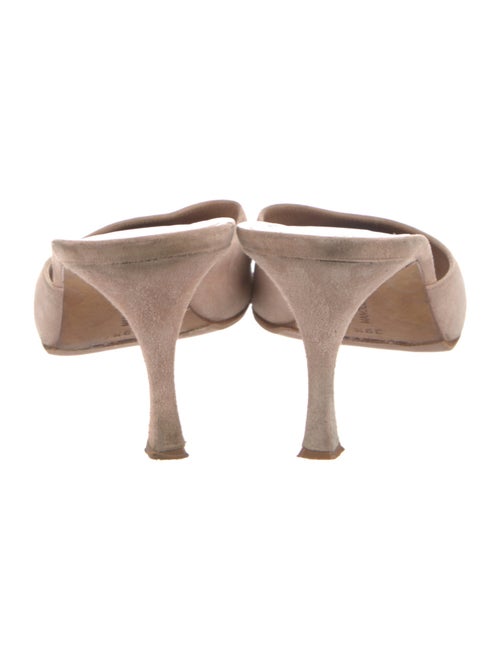 Manolo Blahnik Suede Mules