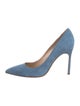 Manolo Blahnik Suede Pumps