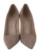 Manolo Blahnik Suede Pumps