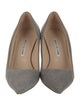 Manolo Blahnik Suede Pumps