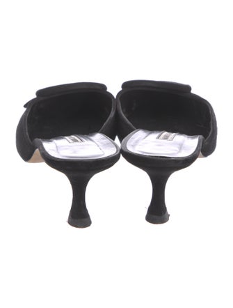 Manolo Blahnik Suede Mules