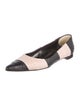 Manolo Blahnik Leather Animal Print Ballet Flats