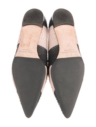 Manolo Blahnik Leather Animal Print Ballet Flats