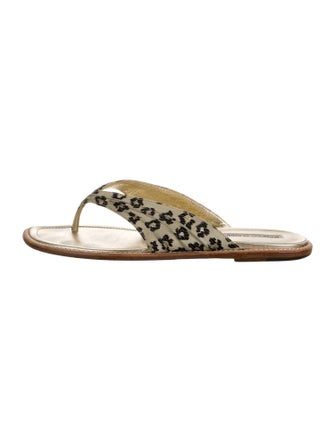 Manolo Blahnik Animal Print Slides
