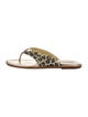 Manolo Blahnik Animal Print Slides