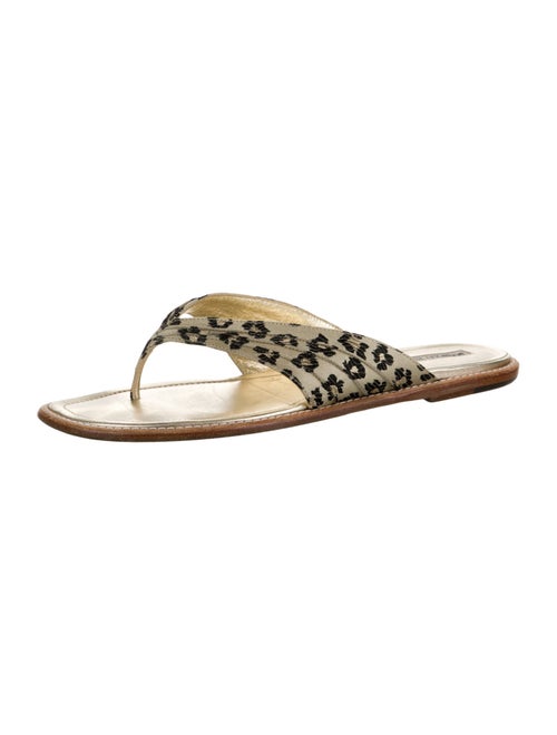 Manolo Blahnik Animal Print Slides