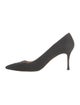 Manolo Blahnik Suede Pumps