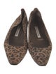 Manolo Blahnik Suede Animal Print Flats