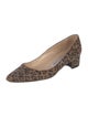 Manolo Blahnik Suede Animal Print Pumps