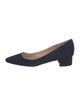 Manolo Blahnik Suede Pumps