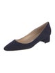 Manolo Blahnik Suede Pumps