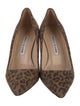 Manolo Blahnik Suede Animal Print Pumps