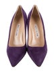 Manolo Blahnik Suede Pumps