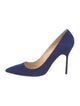 Manolo Blahnik Suede Pumps