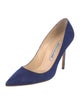 Manolo Blahnik Suede Pumps