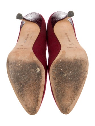 Manolo Blahnik Suede Animal Print Pumps