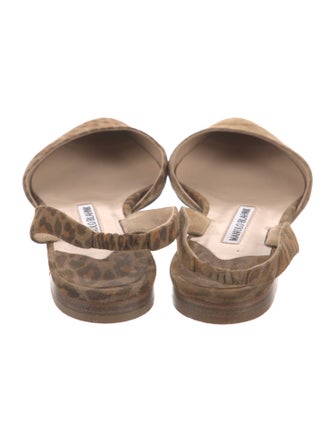 Manolo Blahnik Suede Animal Print Slingback Flats