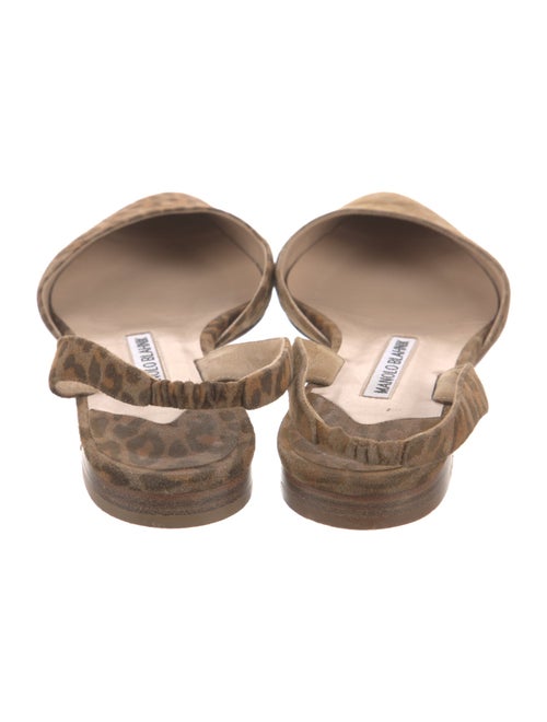 Manolo Blahnik Suede Animal Print Slingback Flats
