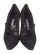 Manolo Blahnik Suede Pumps