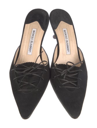 Manolo Blahnik Suede Mules