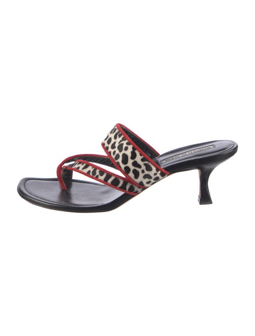 Manolo Blahnik Ponyhair Printed Slides