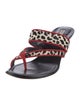 Manolo Blahnik Ponyhair Printed Slides