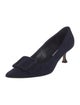 Manolo Blahnik Suede Pumps