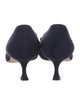 Manolo Blahnik Suede Pumps