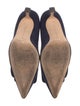 Manolo Blahnik Suede Pumps