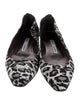 Manolo Blahnik Animal Print Ballet Flats