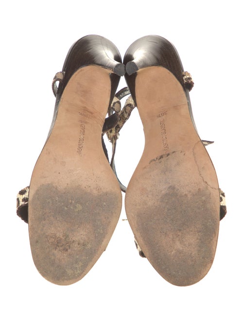 Manolo Blahnik Leather Printed Sandals