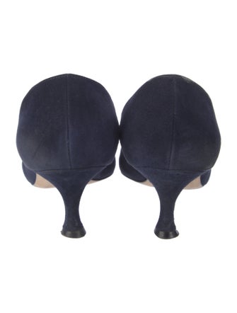 Manolo Blahnik Camellia Accent Suede Pumps