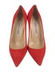 Manolo Blahnik Suede Pumps