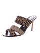 Manolo Blahnik Ponyhair Animal Print Slides