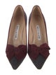 Manolo Blahnik Suede Bow Accents Pumps