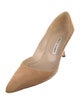 Manolo Blahnik Suede Pumps