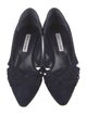 Manolo Blahnik Suede Pumps