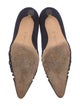 Manolo Blahnik Suede Pumps